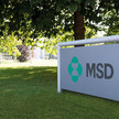 MSD: Massenproduktion von Ebola-Impfstoff