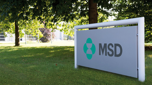 msd firmenschild msd sharp dohme