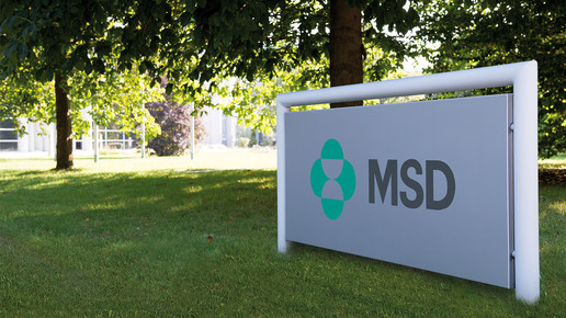 msd firmenschild msd sharp dohme