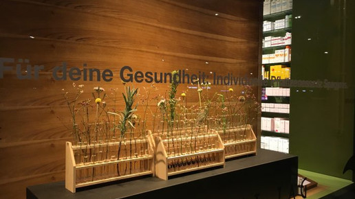 bellevue-apo fenster7 bellevue-apo