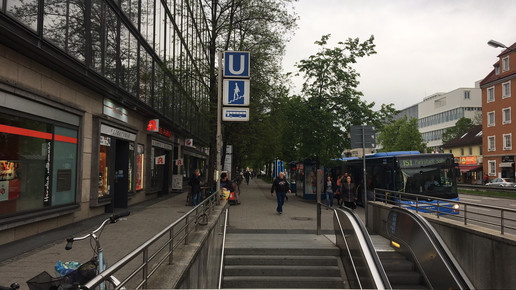 bienen apo laim13 grintz aa