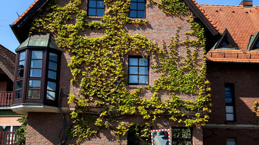 docmorris-automat5 hueffenhardt glam-shots com