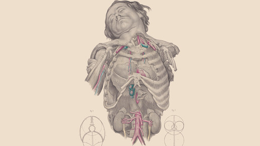 victorian oberkoerper wellcomecollection