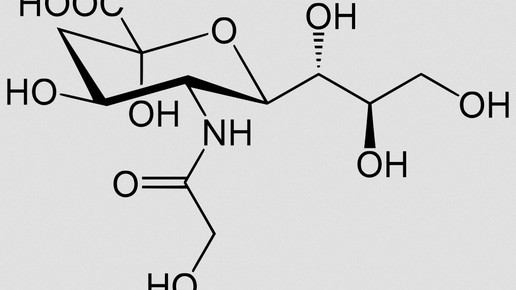 N-Glycolylneuraminsaeure wikipedia