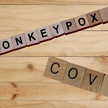 Affenpocken: Corona-Wissen nützt nur bedingt