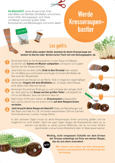 Bastelanleitung Raupe