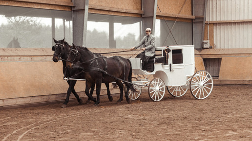 Werbespot 9 klindwort apotheken