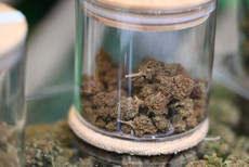 Glas mit Cannabisblüten