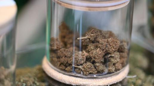 Medizinalcannabis: Vernichtung nur mit Doku