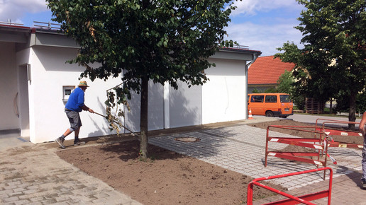 dentlein aussen 01 spaniel