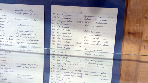 apo dr kammerer herbarium1 kammerer