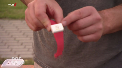 doc esser sonne muecken armband scs