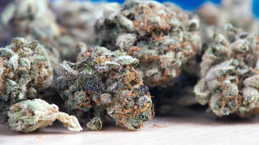 Rabattverträge jetzt auch für Cannabis