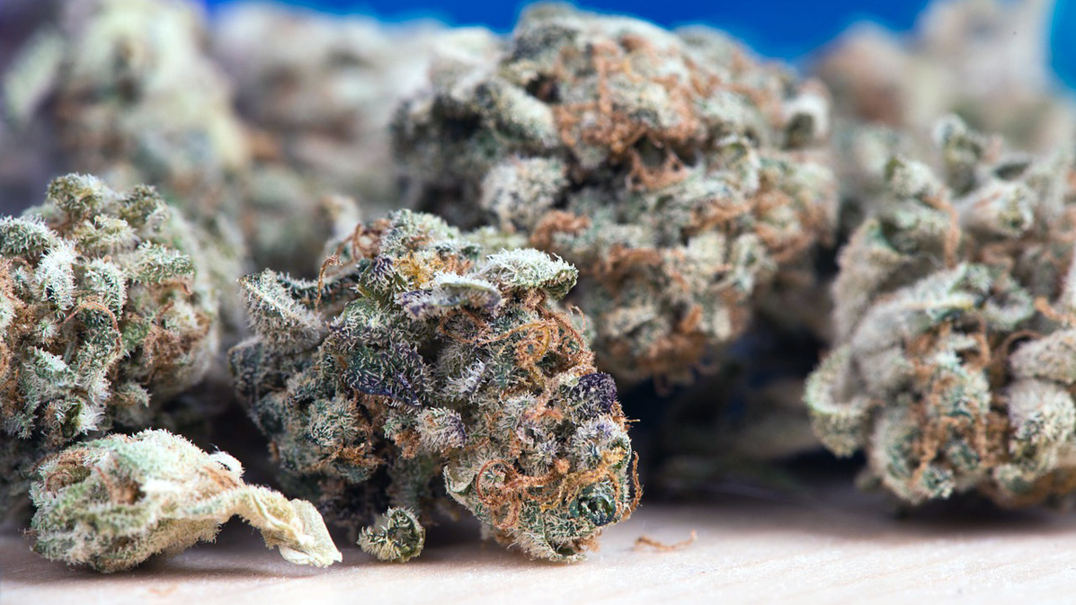 Cannabisanbau: Der Standort beeinflusst die Qualität