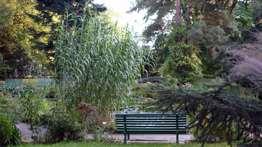 greifswald botanic garden-wiki