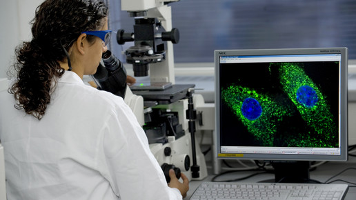 Trump-Zölle: Pharma ausgenommen