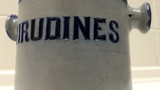 rezeptur blutegel standgefaess aa