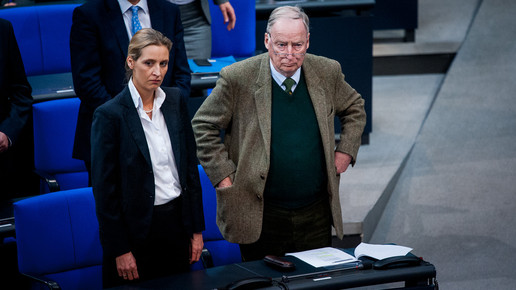 AfD: Ermittlungen wegen Apothekerspende eingestellt