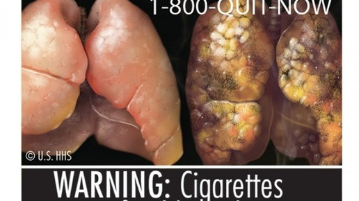 0003-1313596027 12213