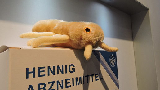 151002 impressionen expopharm 17