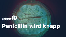 adhoc24 vom 07.11.2022