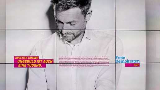 Lindner fdp Domma BW2017