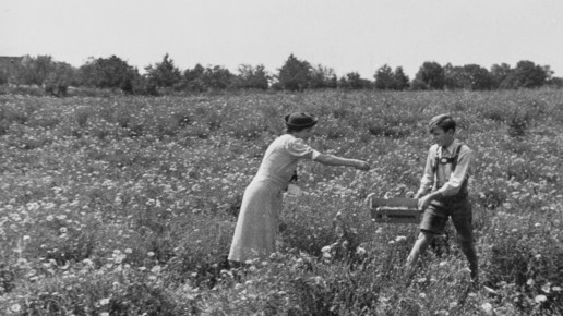 Otto Greither1 salus