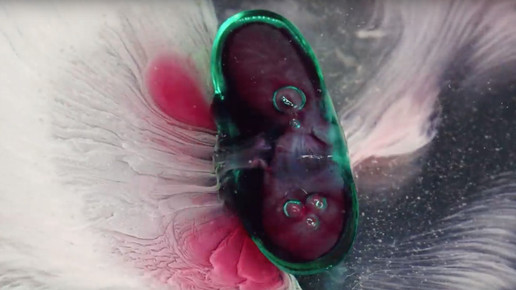 aufloesende tablette scs