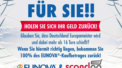 em stada flyer stada