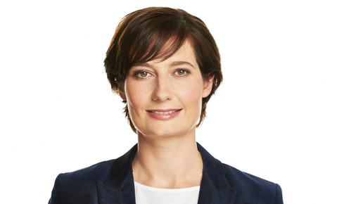 hexal Piret Gerard hexal