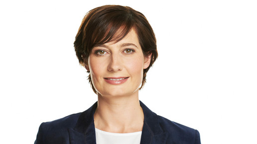 hexal Piret Gerard hexal