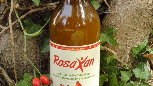 Quickstart mit Pflanzensaft