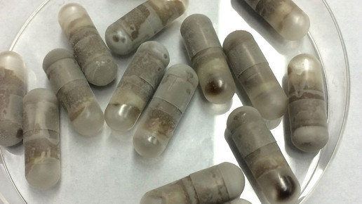 stuhlkapsel general hospital massachusetts elizabeth louise hohmann