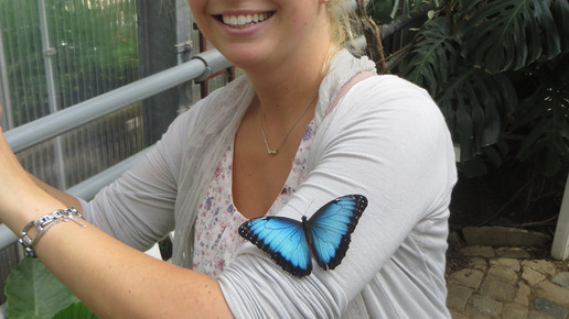 Fehske 15 Internationale Rathaus-Apotheke