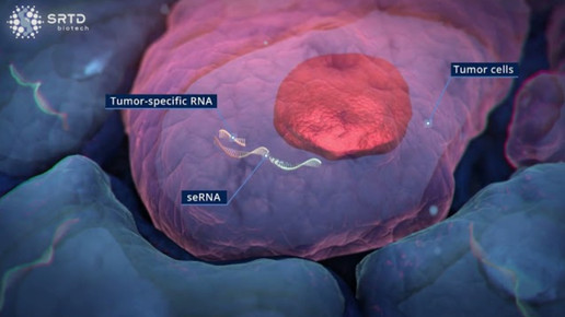 Glioblastom: Der Tumor, der sich selbst zerstört