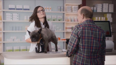 „Haben Sie etwas gegen meinen Kater?“