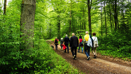spaziergang rainer sturm pixelio de