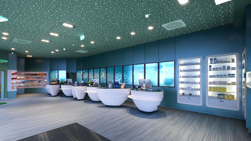 anthemis-apo innen8 anthemis-apo