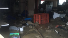 Land unter in Apotheken