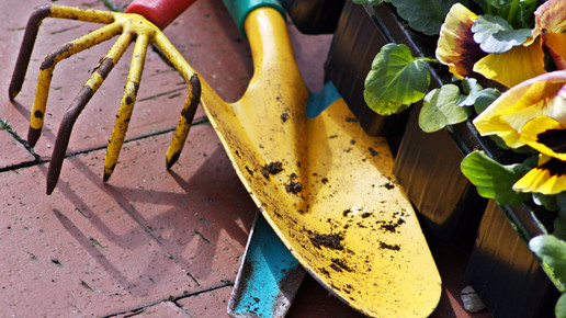 gaertnern Susanne Schmich pixelio.de