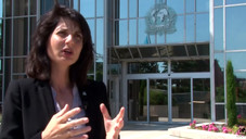 Pangea VIII: Schlag gegen Fälscher