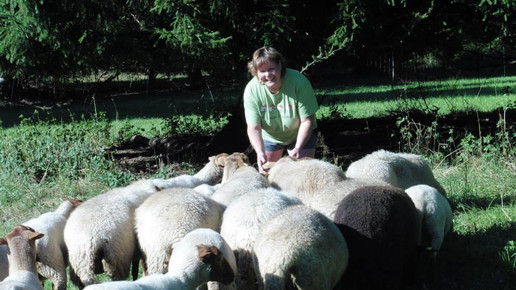 m.braun schafe martina braun