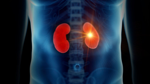 Antibiotika: Dosis und Intervall entscheidend