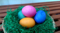 Überraschungen zu Ostern