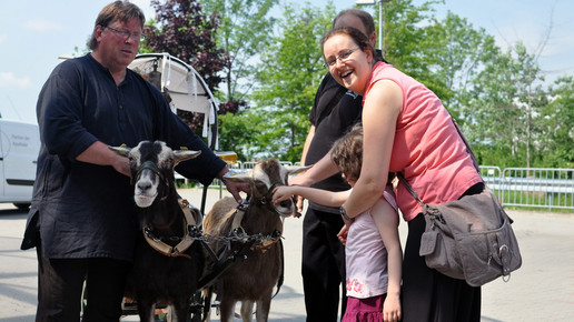 sanacorp feier ziegen