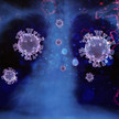 Omikron: Studie belegt milde Krankheitsverläufe