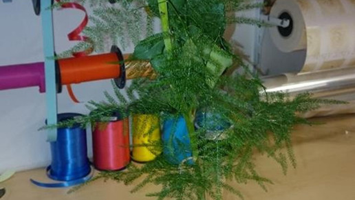 geschenke4 gelbe rose rosen apotheke arnstadt