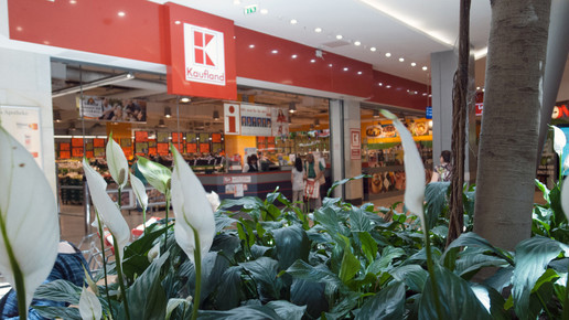 Telemedizin: „Medical Room“ im Kaufland