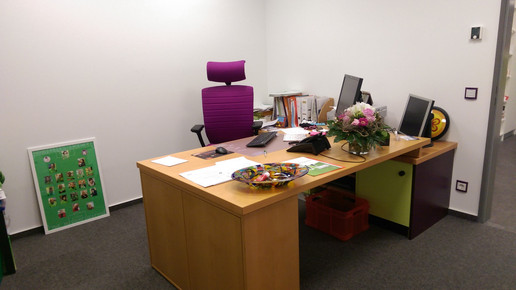 Umzug 3 Hahnerberg-apo