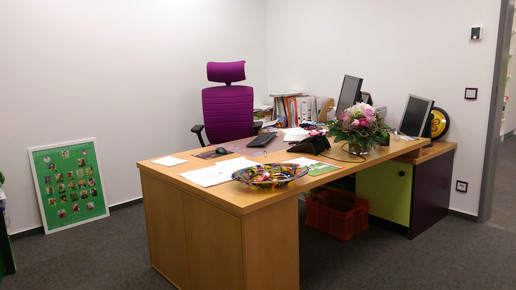 Umzug 3 Hahnerberg-apo